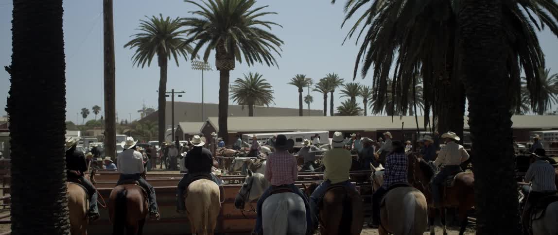Group of people sitting on horses looking over a fence