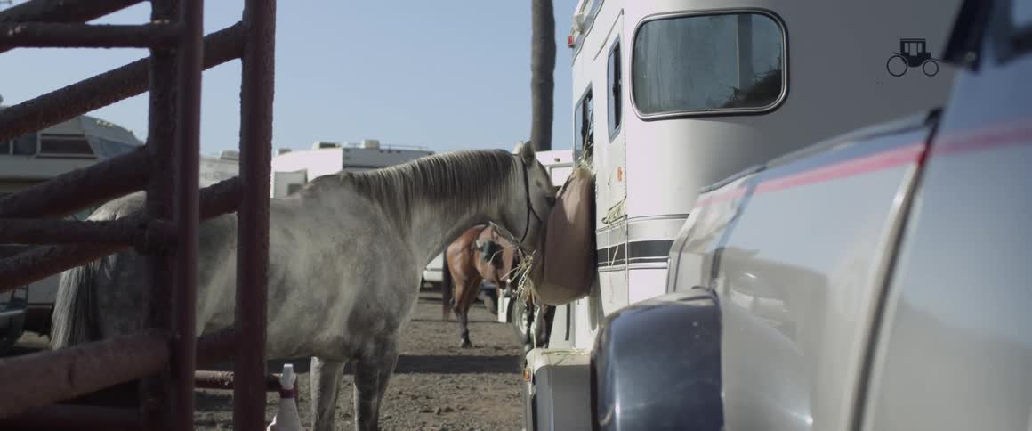 A horse eats hay from a bag attached to a trailer