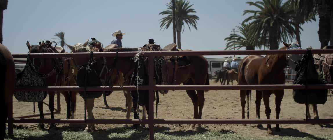Cowboys ride horses in a paddock