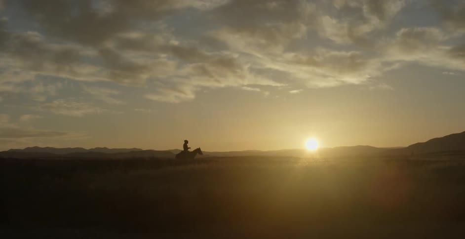 A cowboy rides a horse in a field at sunset