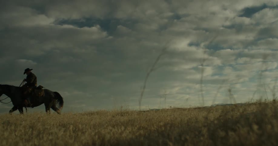 A man riding a horse in a grassy field