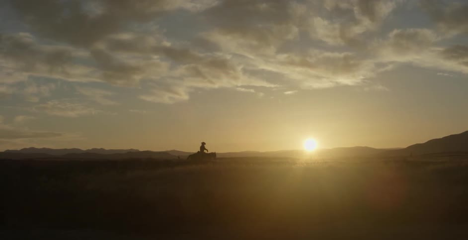 A cowboy rides a horse in a field at sunset