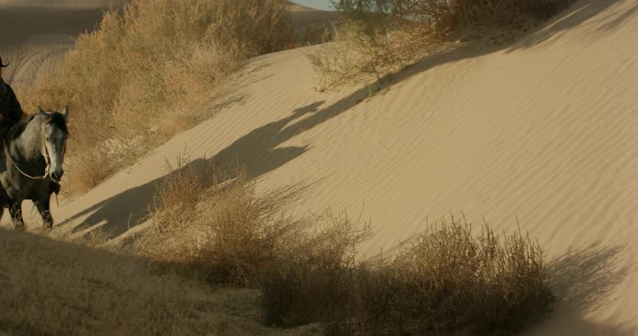 A cowboy rides a horse in a sandy desert