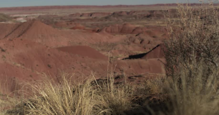A patch of grass near dunes and peaks of a desert