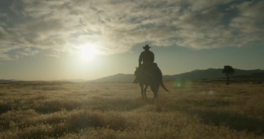 A man slowly rides a horse through a field