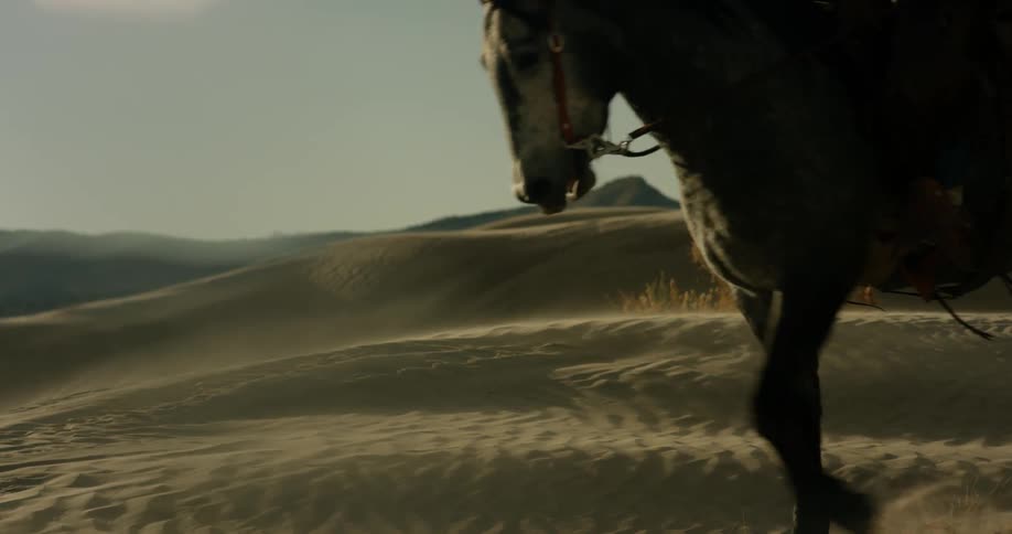 Horse walks in a windy sunny desert