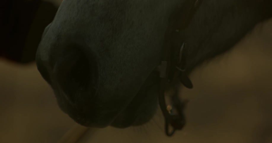 The horse is being groomed in a dark area