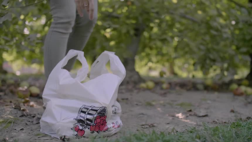 A woman puts an apple in a bag