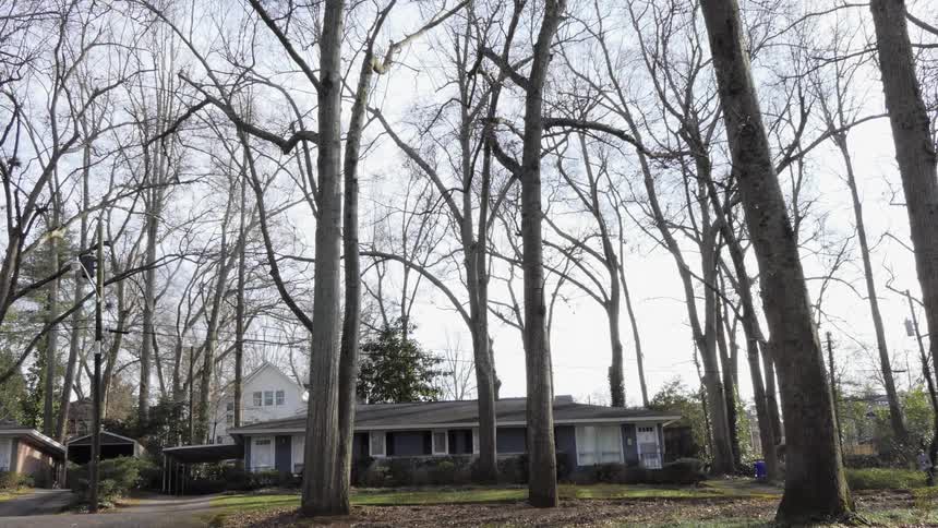 A house surrounded by tall, leafless trees