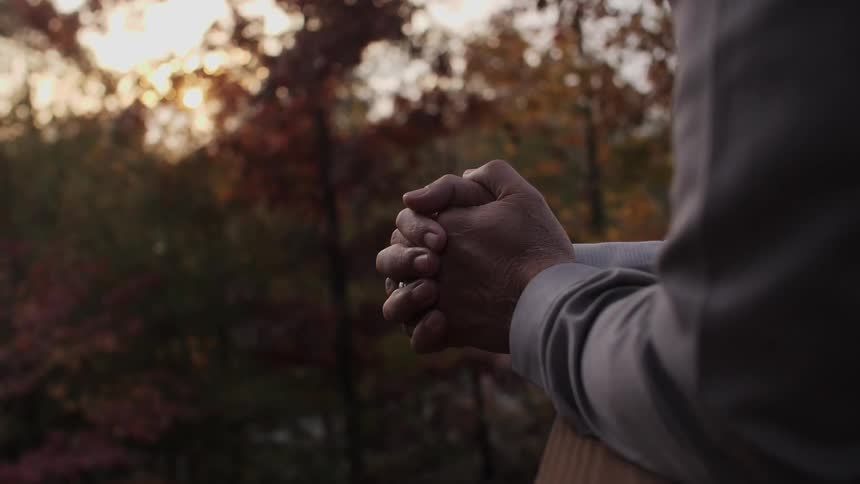 Person leans over a railing looking at trees
