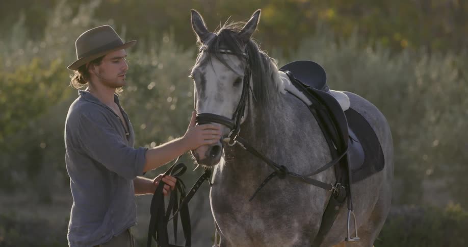 Man pets his horse in a grassy field