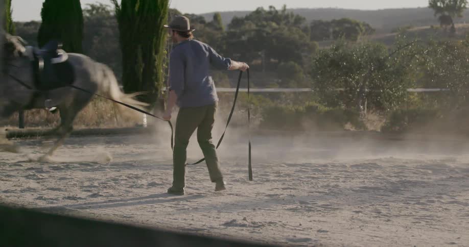 A man leads a horse in circles