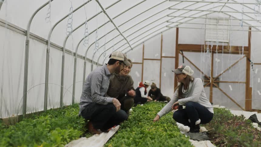 People examine planting in a hothouse garden