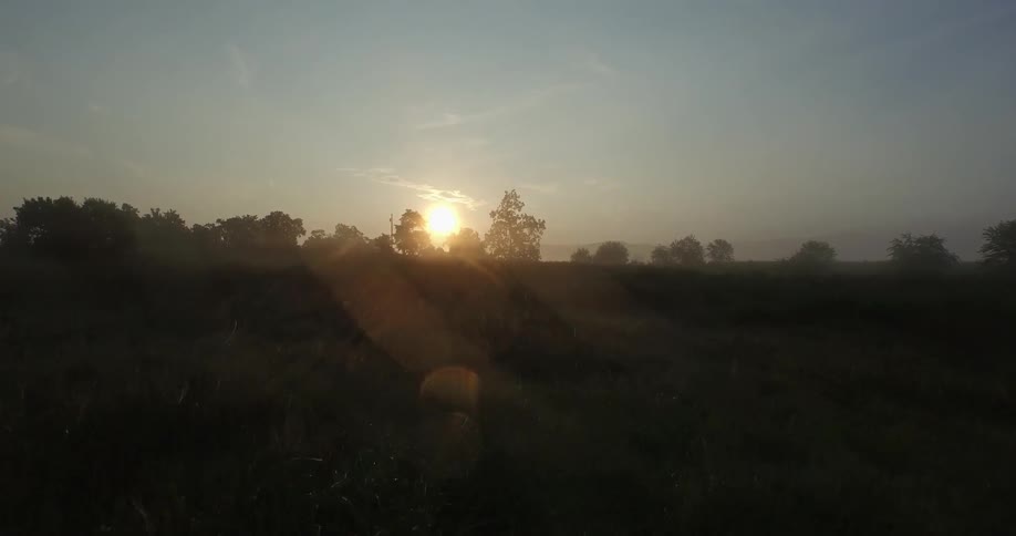 Dark field with the sun setting just ahead