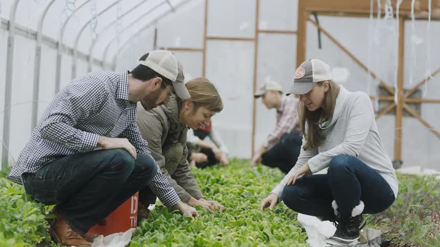 People work in a greenhouse