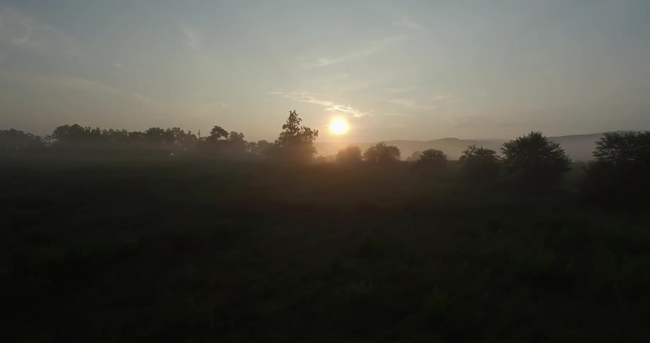 A dark field with trees and the sun setting up ahead