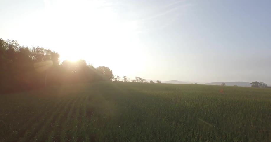 A small building on a farm and a field of corn at sunrise