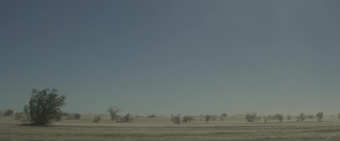 Sand blows across a desert