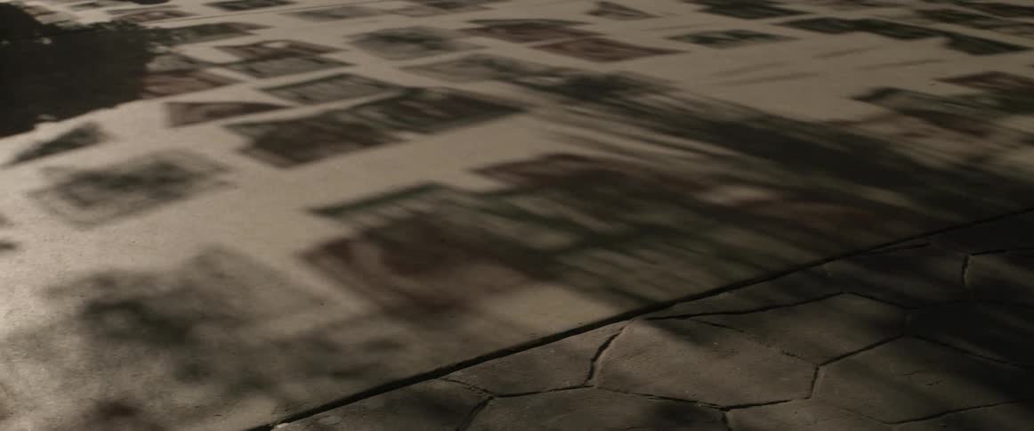 Shadows on a concrete sidewalk