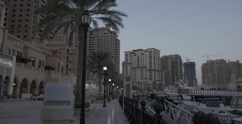 A city sidewalk lined with palm trees