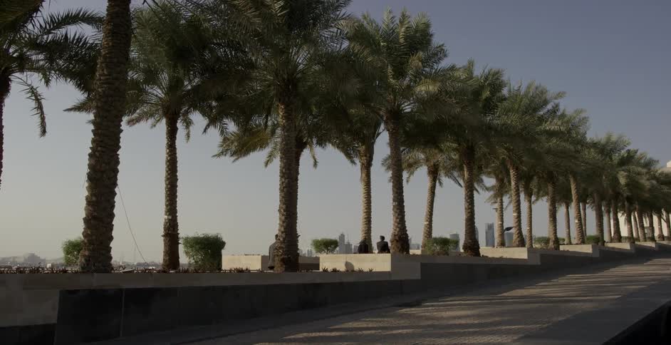 Pedestrians walk beneath palm trees that line a boardwalk on a sunny day