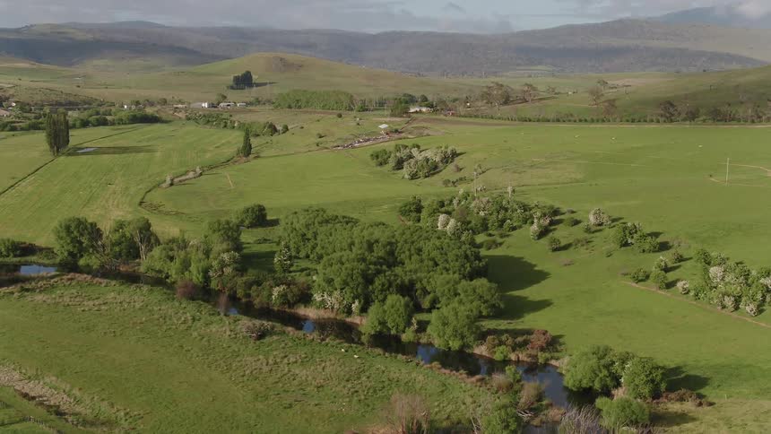 Trees cover a grassy rural field