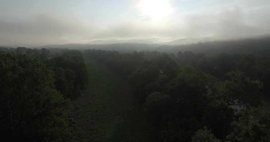 A forest next to a river with the sky and clouds in the background