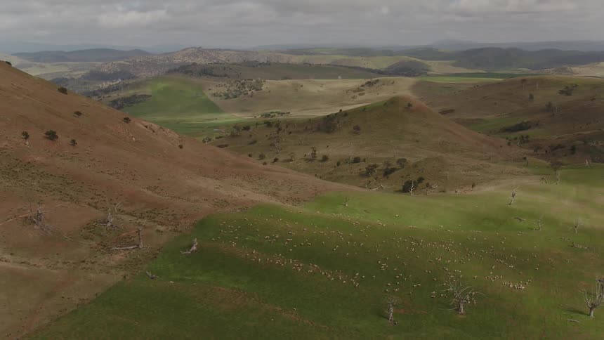 Rolling green and brown hills