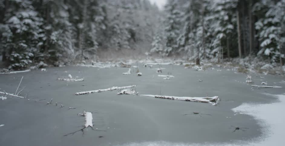 A frozen snow covered lake in front of woods