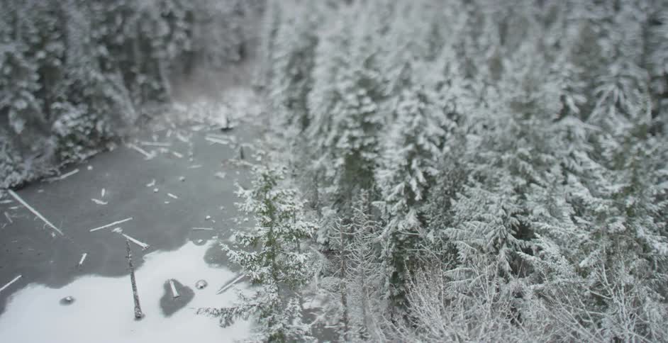 An opening in a heavily wooded forest dusted with snow