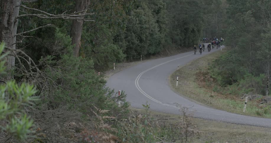 Cyclists ride down a curved road