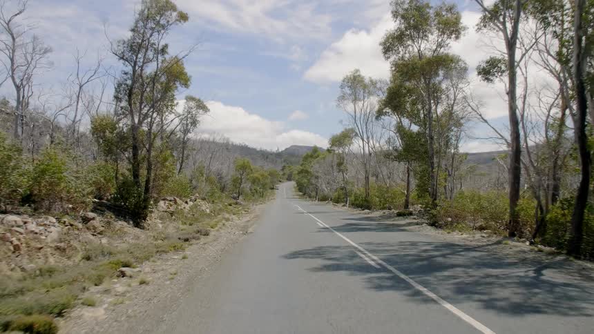 A vehicle travels on a rural road on a sunny day