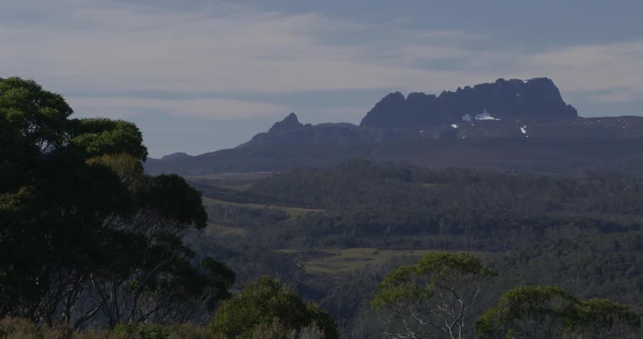 A long, hilly forest