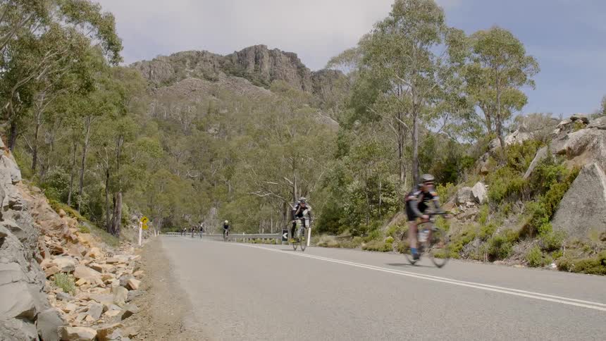 Bicyclists in a strung out peloton travel on a rural road