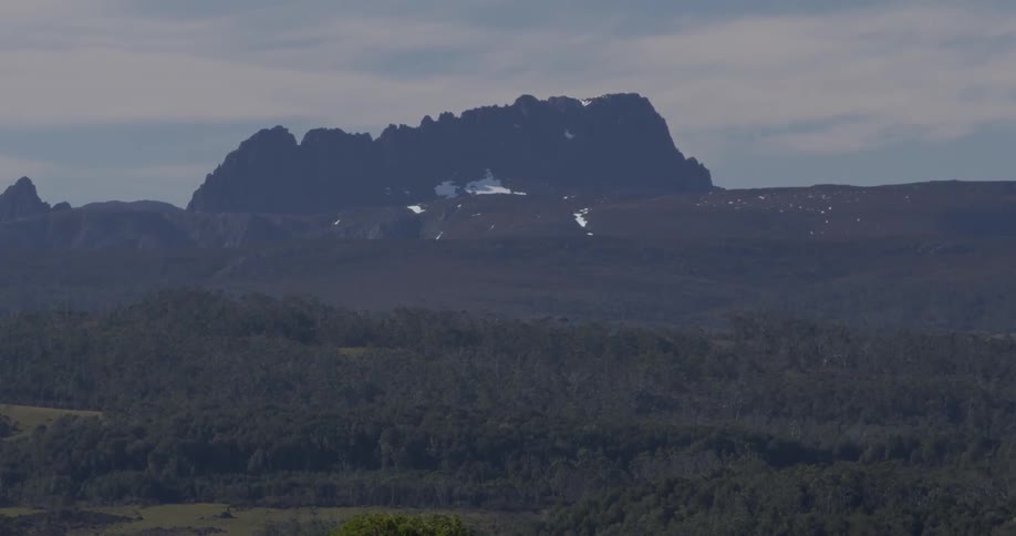 View of trees and a mountain