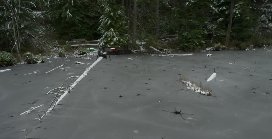 A drone flies over some fallen trees towards a forest