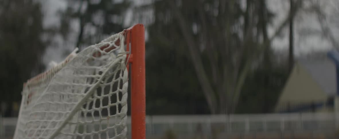 A lacrosse ball hits the net to score