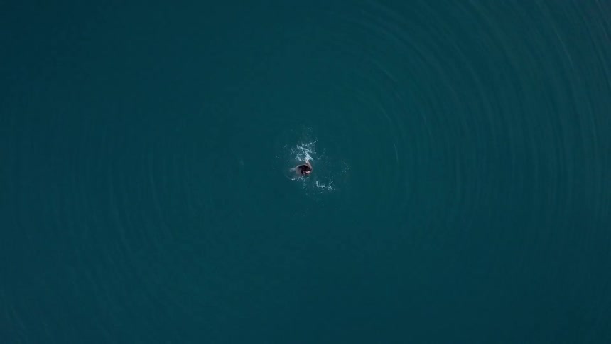 A woman swims in a large body of water