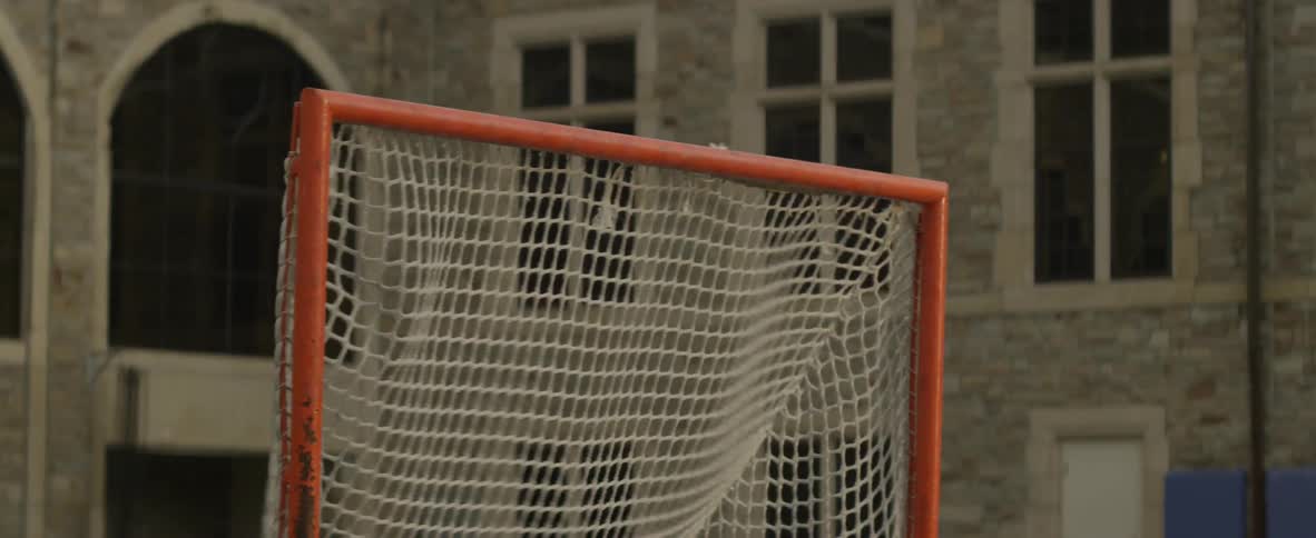 A ball is being tossed into a net