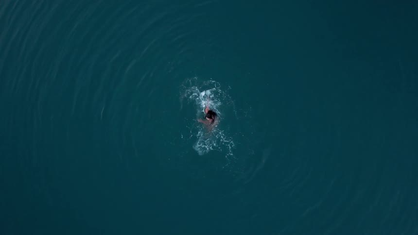 A woman is swimming in the water below