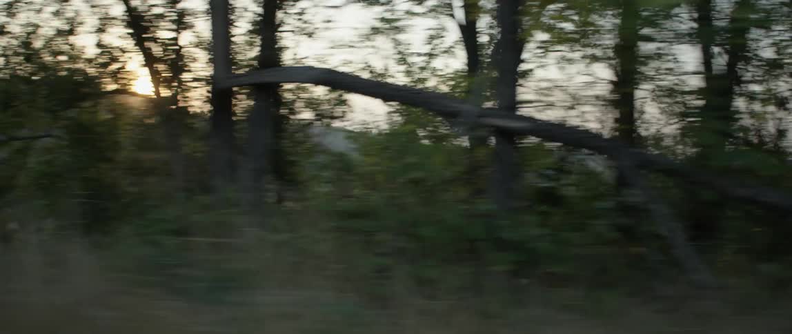 The sun is setting beyond trees that line a road