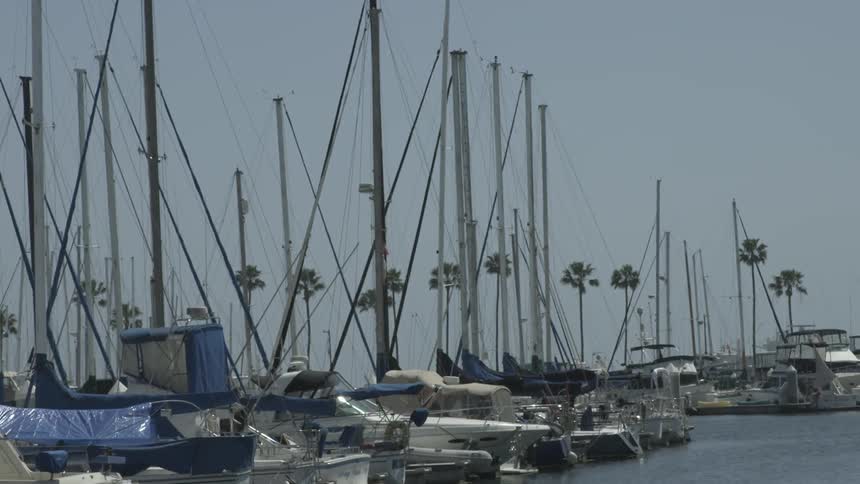 All of the boats are docked with their sails down
