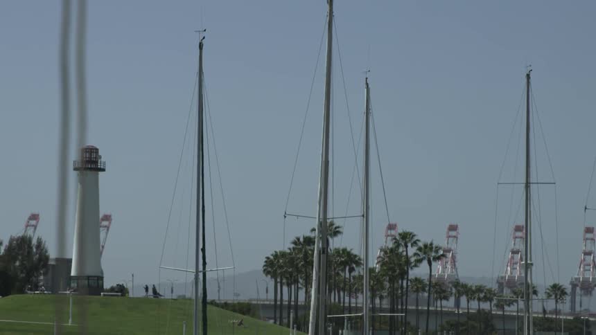 View of a lighthouse and trees