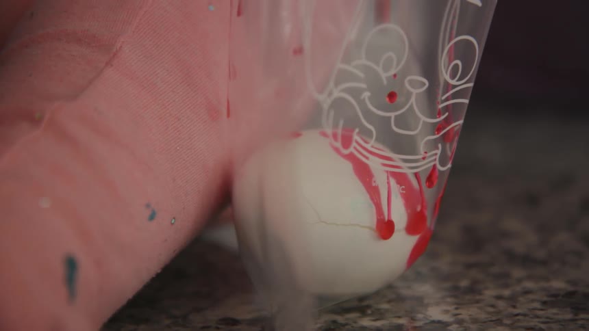 Red dye is added to a bag with an egg in it