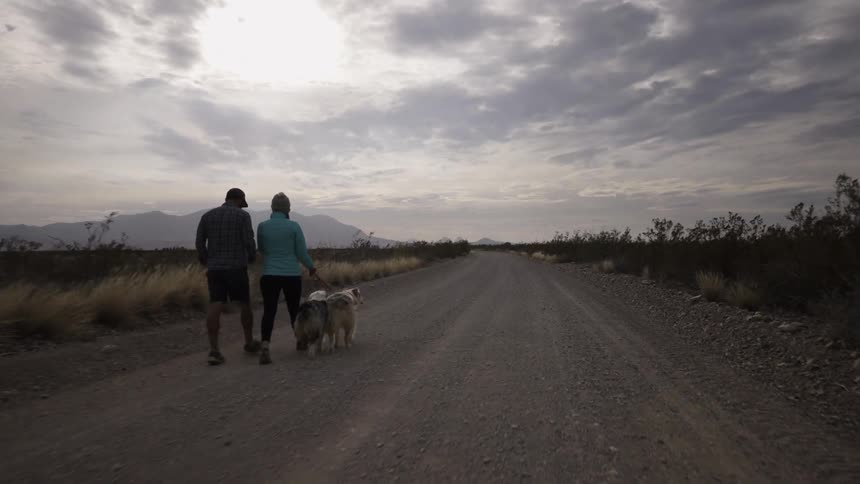 A man and woman walk their dogs on a cloudy day