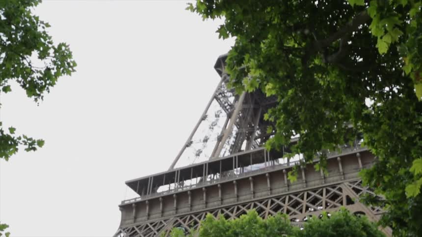 Thick, leafy trees under a metal tower
