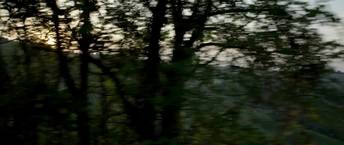 A hill and sunset can be seen through branches along a tree lined road