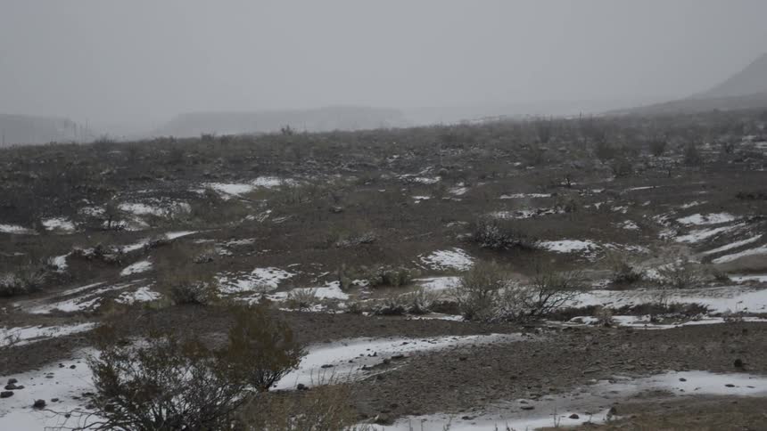 Snow falls in the wilderness