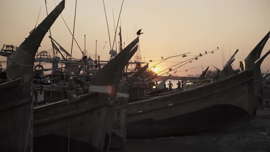 Birds landing on boats parked in a harbor