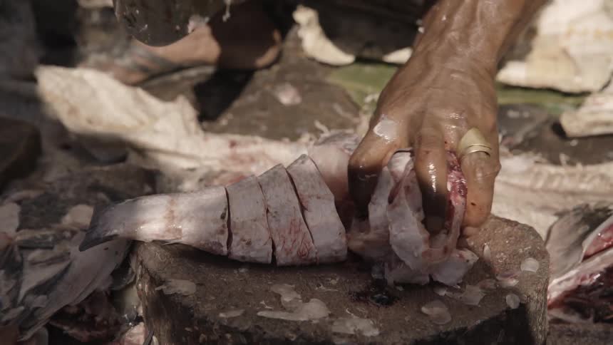 A person chops up a fish while sitting on the ground outside
